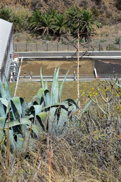 Vecinos denuncian el ruido y olor de la depuradora