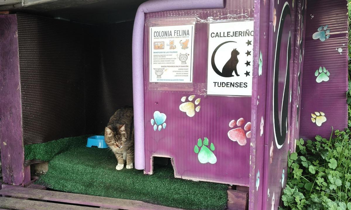 Caseta de Callejeriños Tudenses.