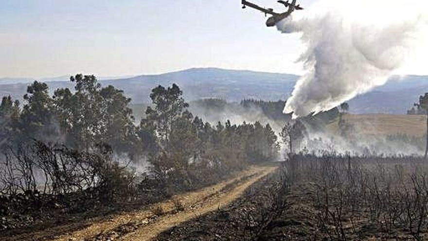 Un medio aéreo en un incendio.