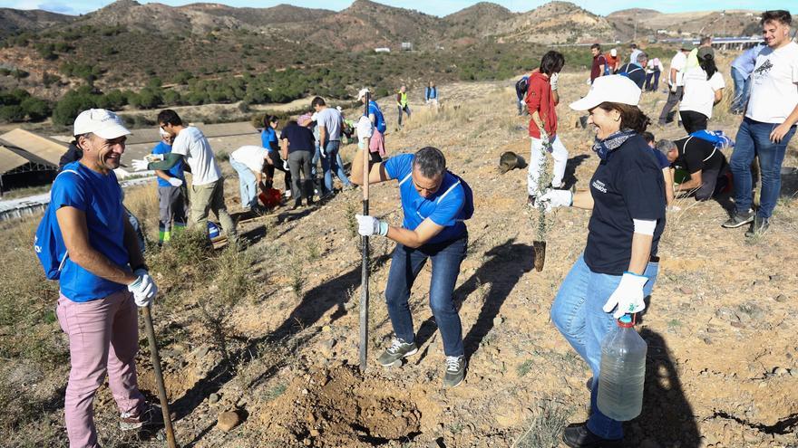 Voluntarios de la Cementera de Málaga ayudan a reforestar Los Asperones