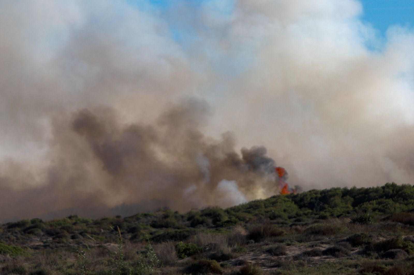 El incendio forestal del Saler, en imágenes