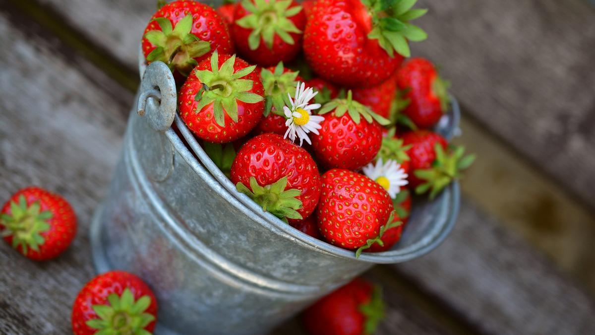 Las fresas son muy ligeras y tienen mucha fibra.