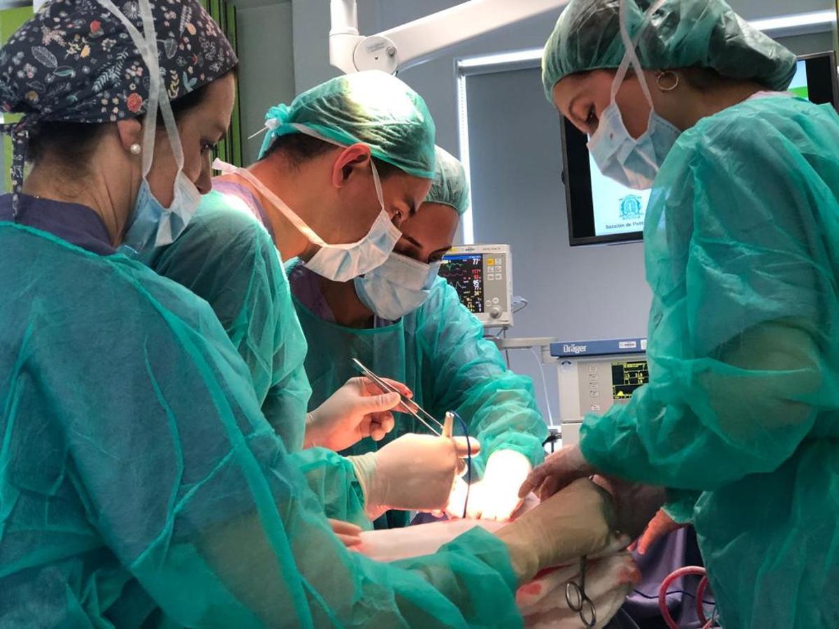 Entrenamiento en prácticas quirúrgicas