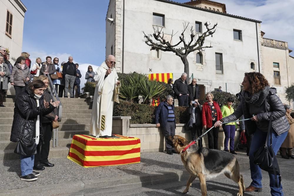 Desfilada de la Festa de Sant Antoni Abad al barri de Palau-sacosta i benedicció dels animals