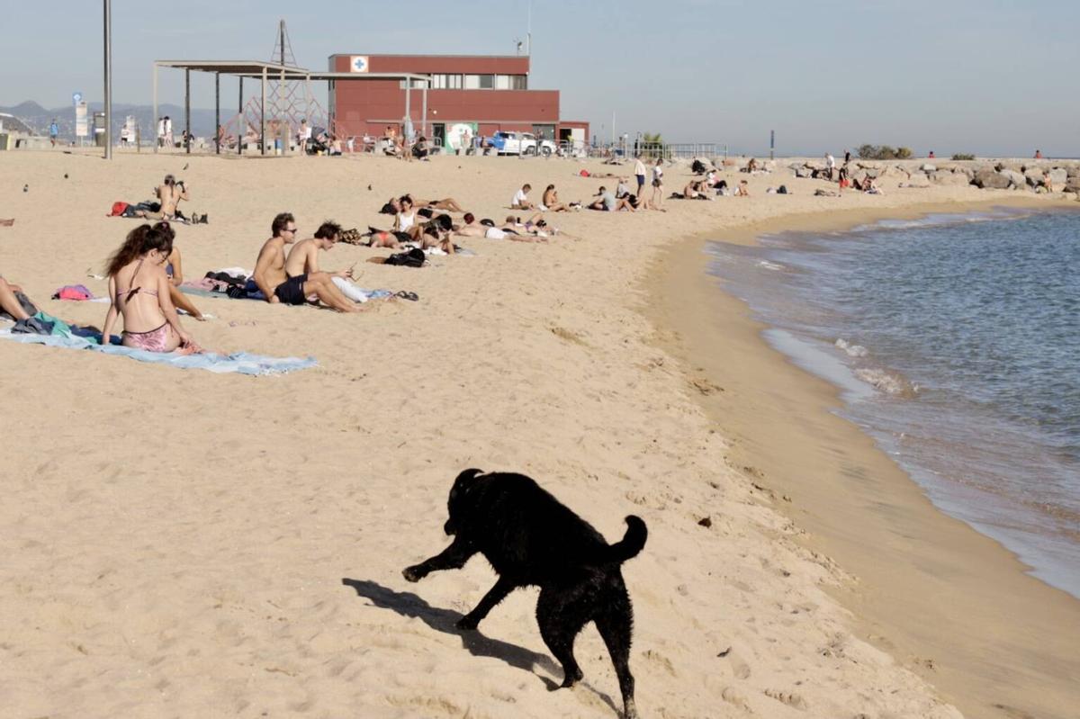 Barceloneses acuden a la playa por las altas temperaturas de noviembre