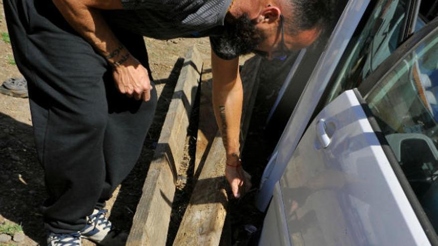 Uno de los afectados por la plaga muestra maderas con termitas invasoras.