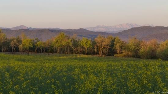 Meteoimatges Moianès