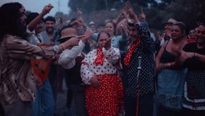 Fotograma de La guitarra flamenca de Yerai Cortés.