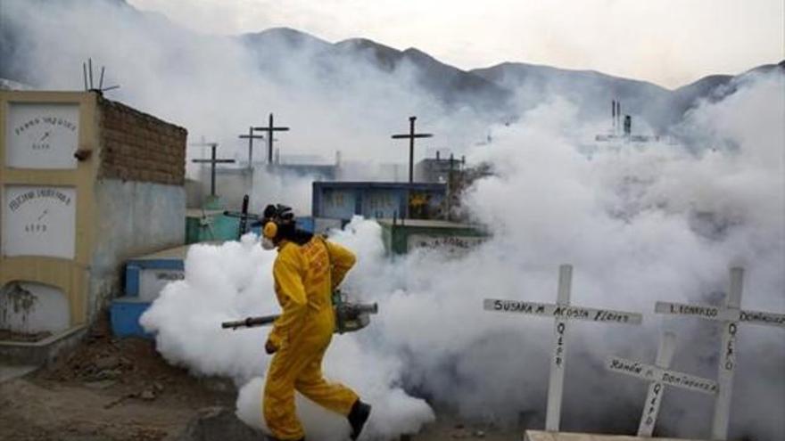 OMS calcula que se necesitan 56 millones de dólares para afrontar el plan contra el zika