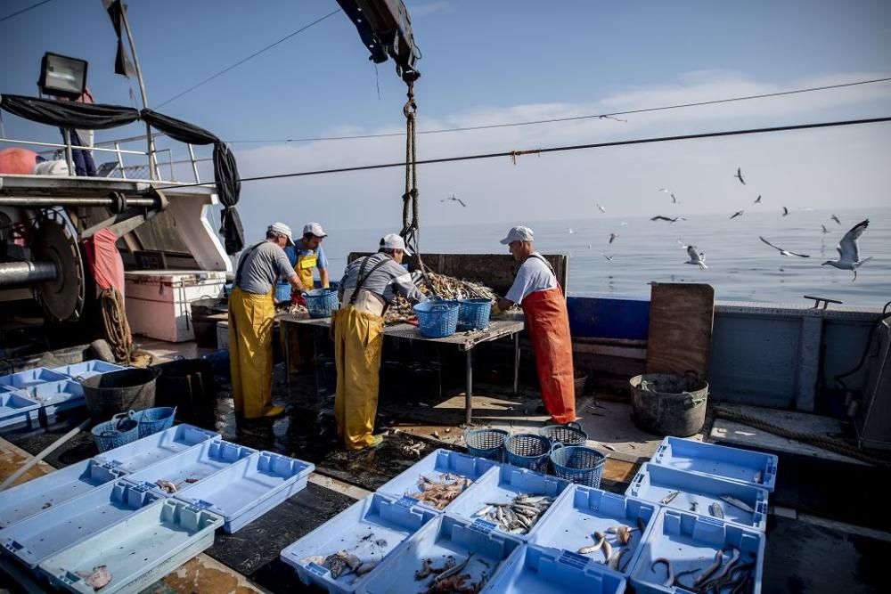 Pescadores de la Región extrajeron 5,6 toneladas de basura del mar en 2019