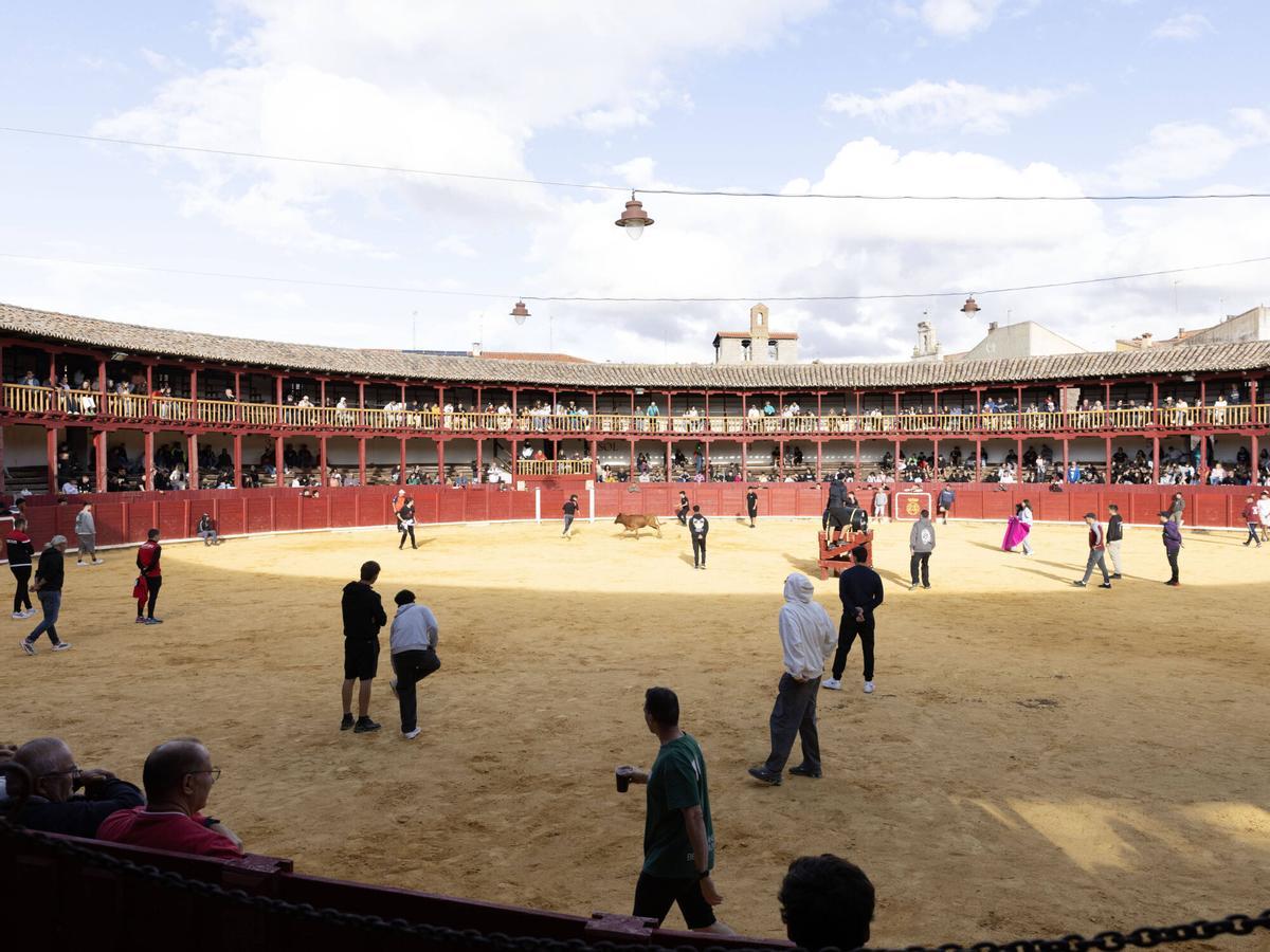 Tradicional Fuente de Vino, San Agustín 2026 Tradicional Fuente de Vino, San Agustín 2026