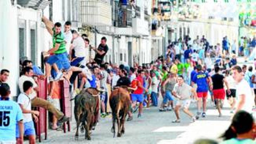 Empiezan los encierros de El Viso