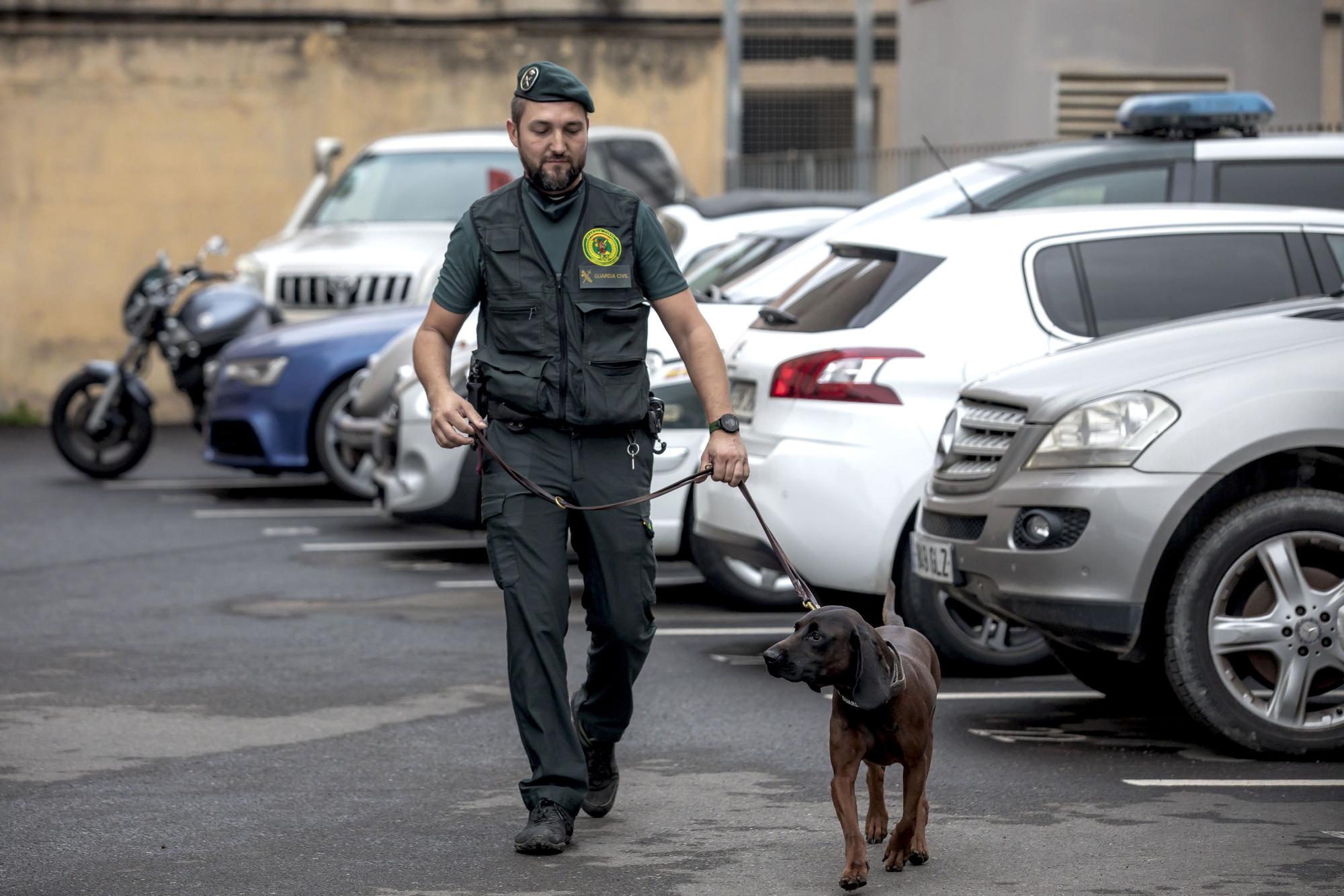 Unidad de Guías Caninos de la Guardia Civil
