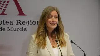 La Región, excluida de las inversiones para evitar un nuevo apagón