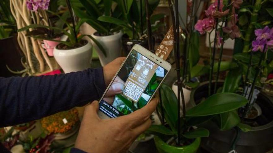 Códigos QR para saber cómo cuidar una planta