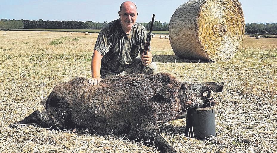 Els caçadors de Caldes de Malavella abaten un senglar de 162 quilos