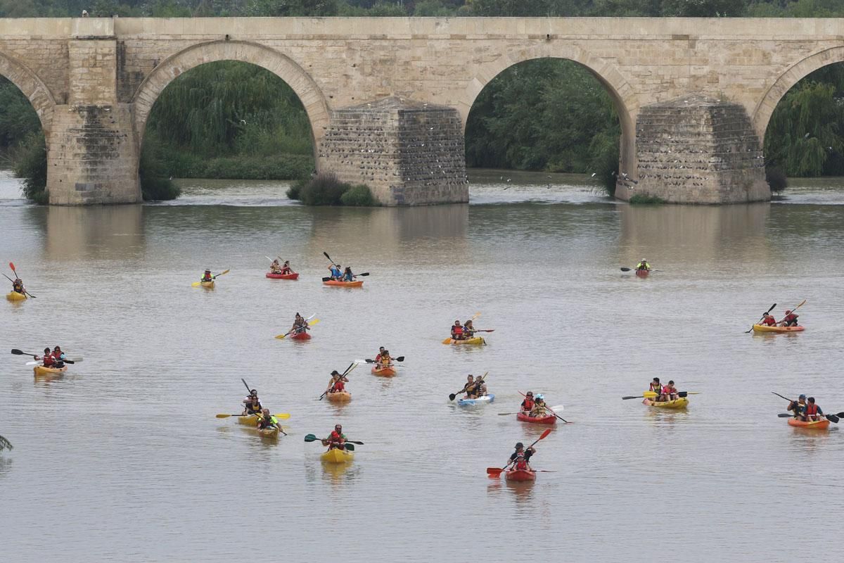 Ruta del Caimán por el río Guadalquivir