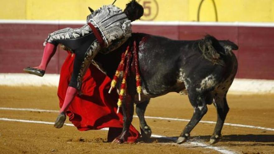 El torero, en el momento de ser herido