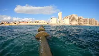 La mitad de los vecinos del Mar Menor culpan de la contaminación de la laguna a los vertidos urbanos