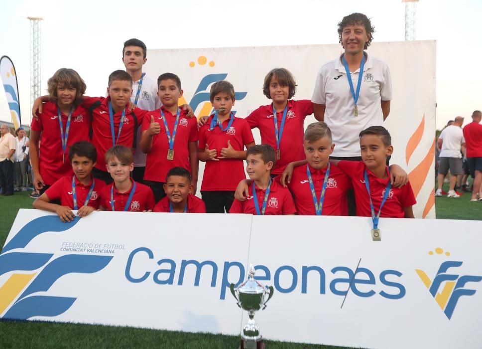 Campeones futbol 8