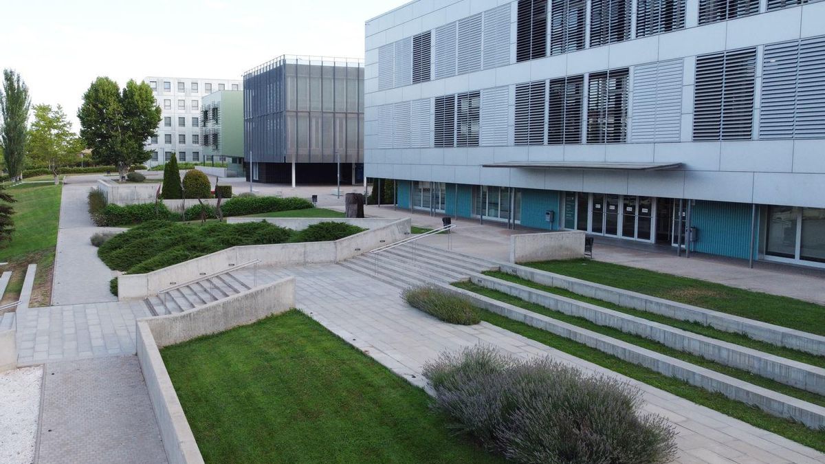 L'Escola d'Estiu se celebrarà del 3 a l'11 de juliol