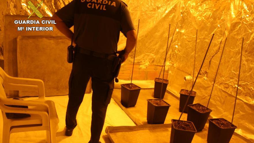El robo en una casa en Las Torres destapa un invernadero de marihuana