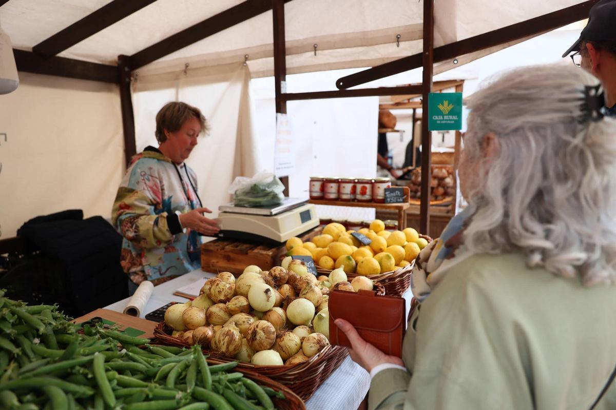 El retorno del Mercado Artesanal y Ecológico a Oviedo El retorno del Mercado Artesanal y Ecológico a Oviedo