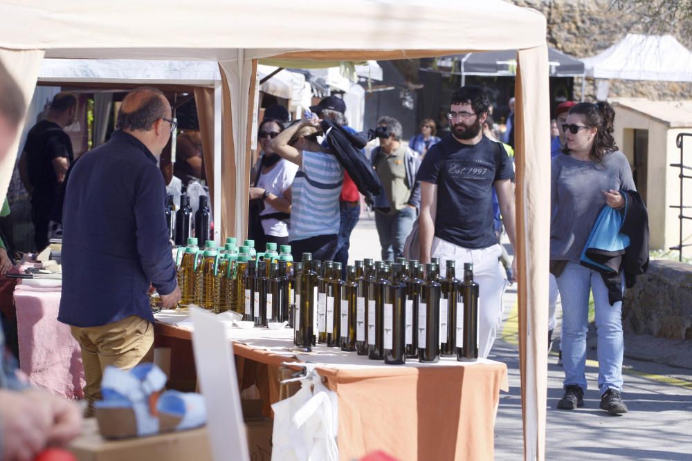 Diada castellera i la Fira de l'Oli Fontanilles