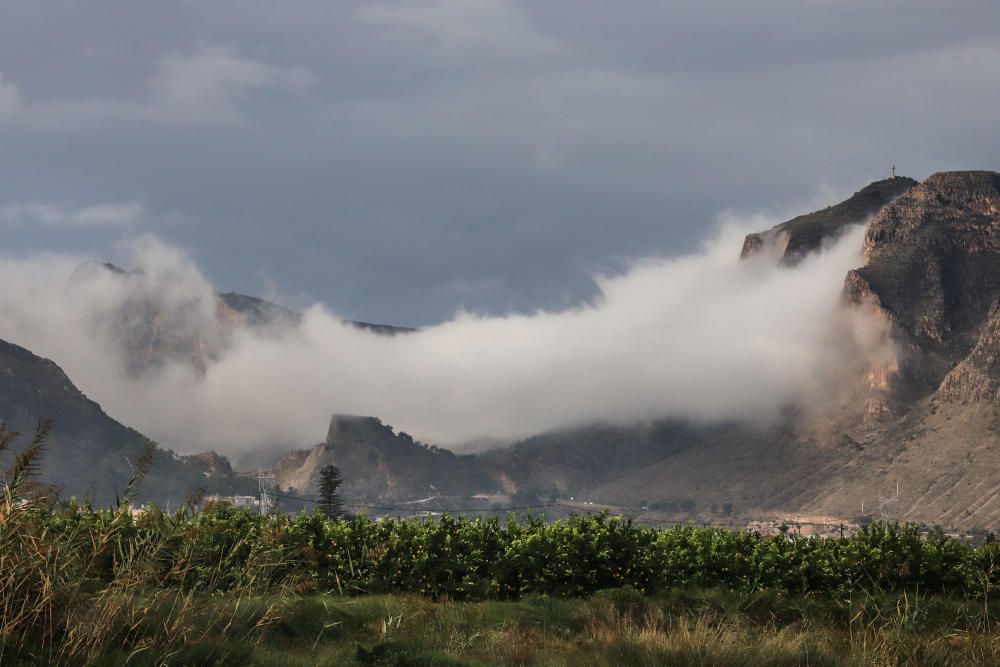 Las lluvias han dejado entre 15 y 30 litros por metro cuadrado en la Vega Baja