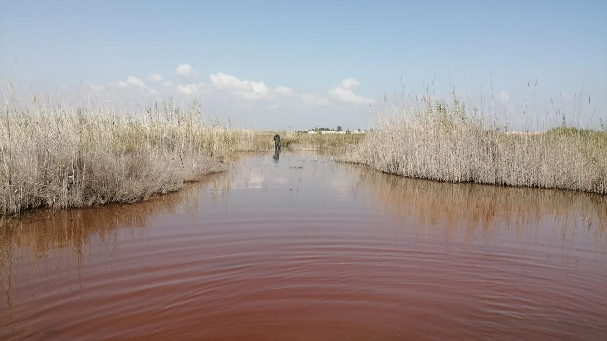 La laguna de Torrevieja es rosa y en ella se localiza la explotación salinera torrevejense.