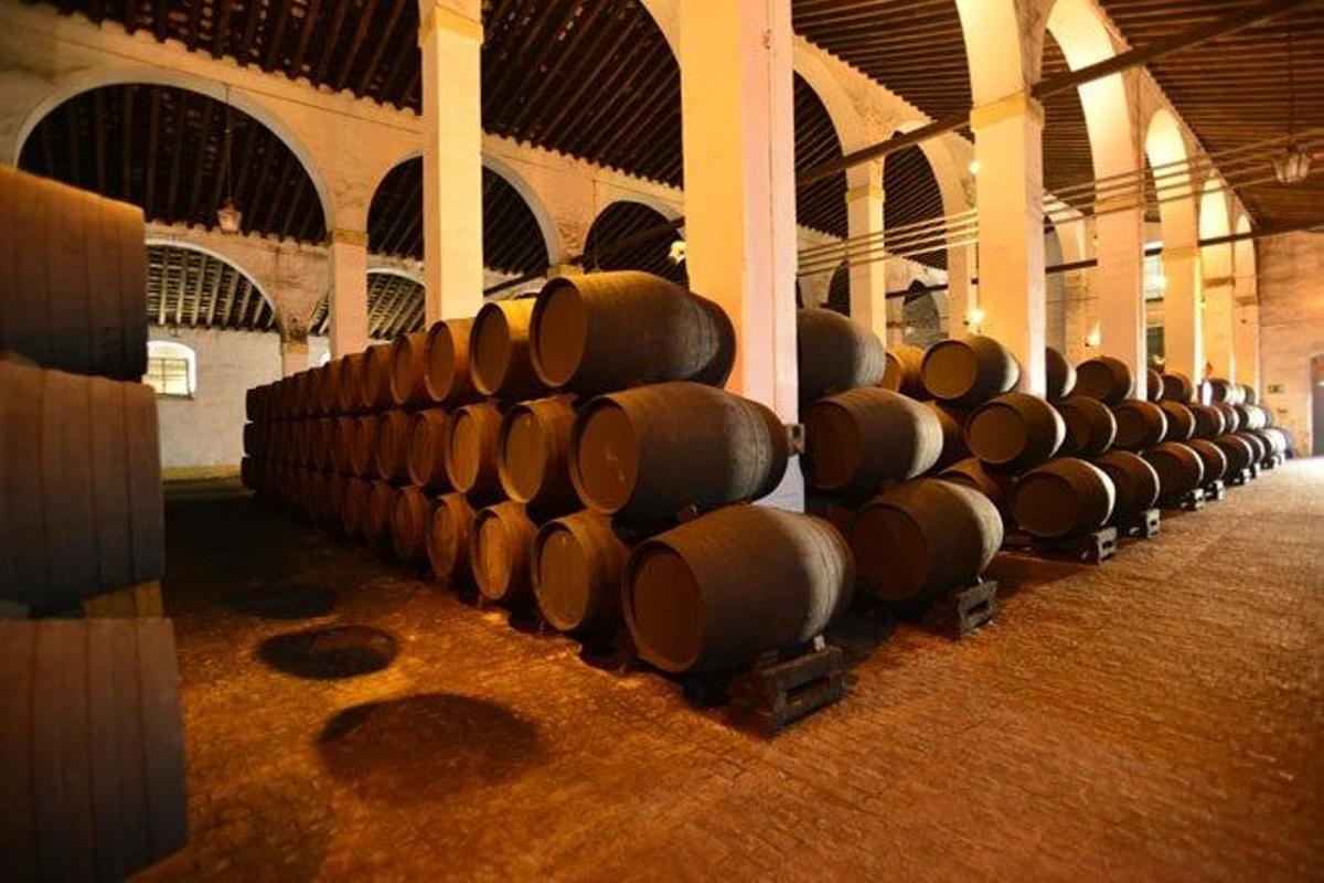 Festejar las grandes virtudes vitivinícolas de Jerez