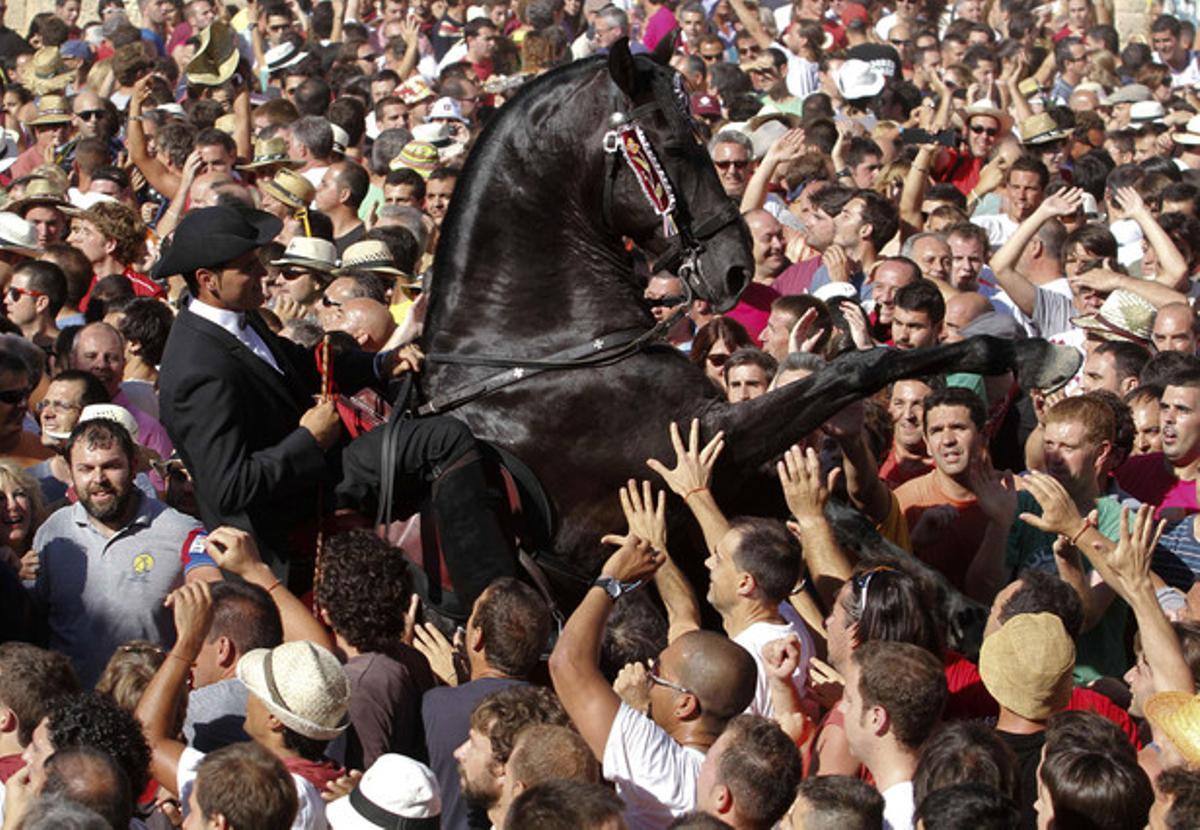 Un genet enmig de la multitud durant la celebració de Sant Joan a Ciutadella, Menorca.
