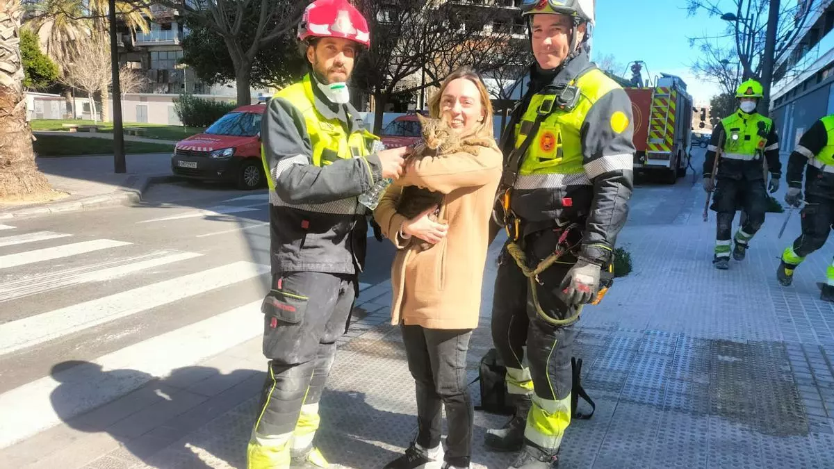 Los bomberos rescatan a un gato en el piso 13 del edificio incendiado en Valencia tras ocho días escondido