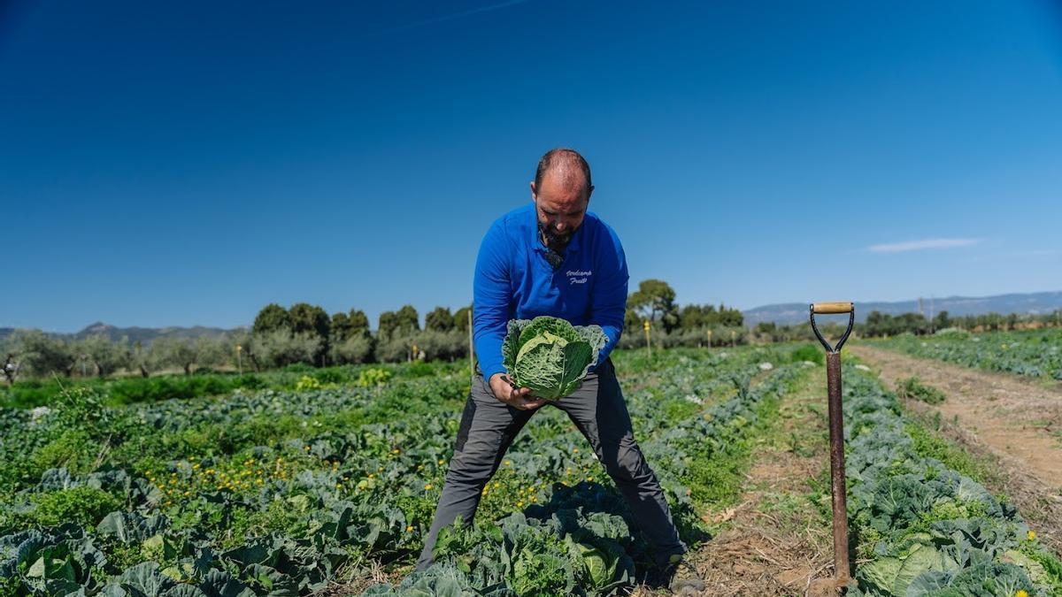 ¿Cuáles son los 10 criterios que definen la agricultura regenerativa, clave para cultivos saludables?