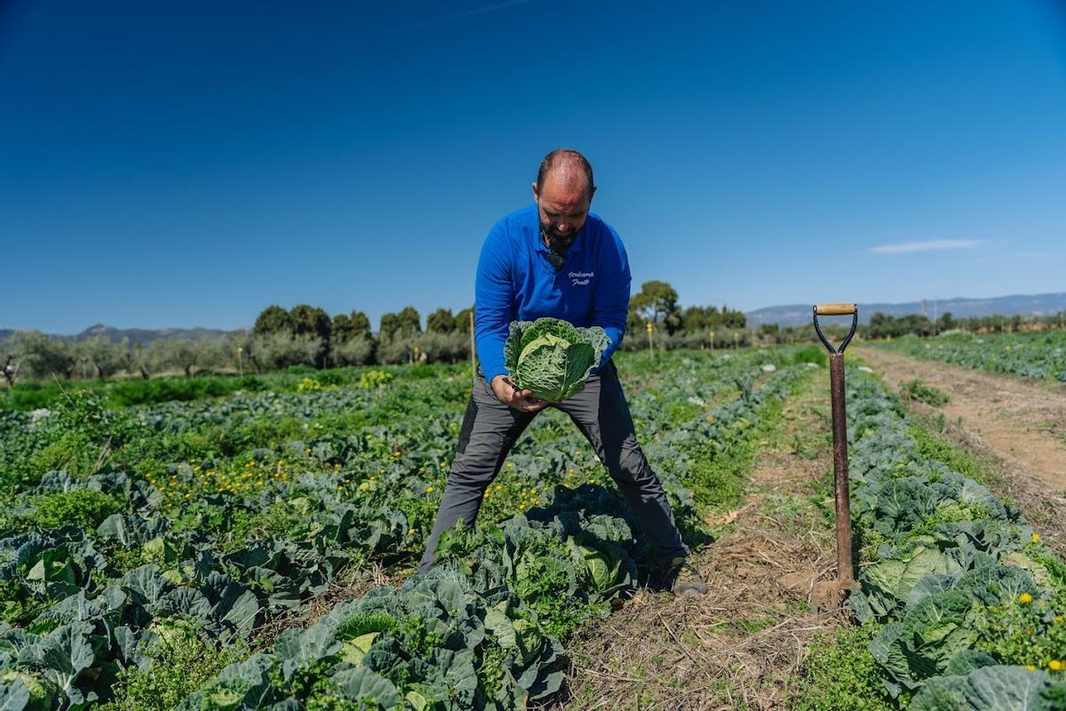 Explotación de agricultura regenerativa en Cataluña