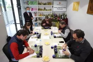 Aceites de Carcabuey y Montilla ganan el concurso provincial de la Diputación de Córdoba