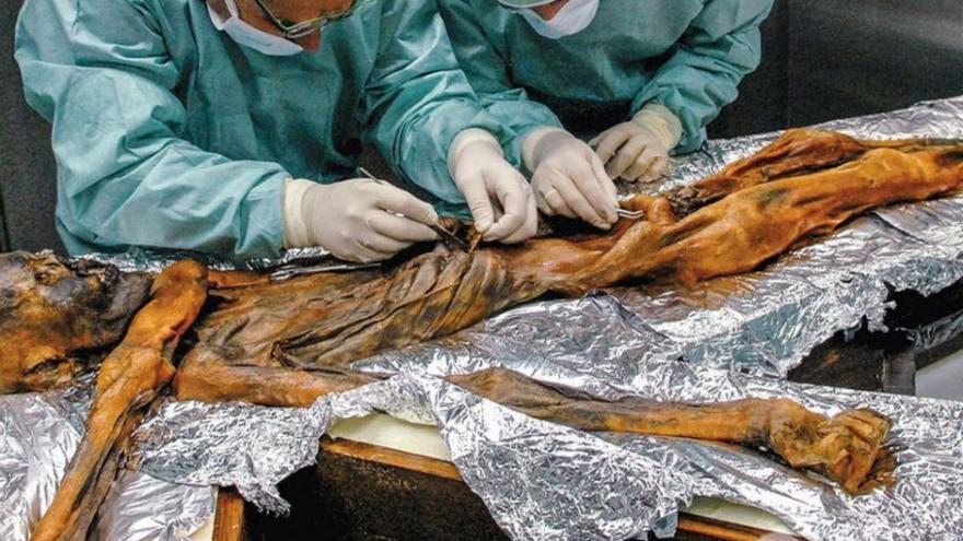 Investigadores analizan el cuerpo momificado de Ötzi.