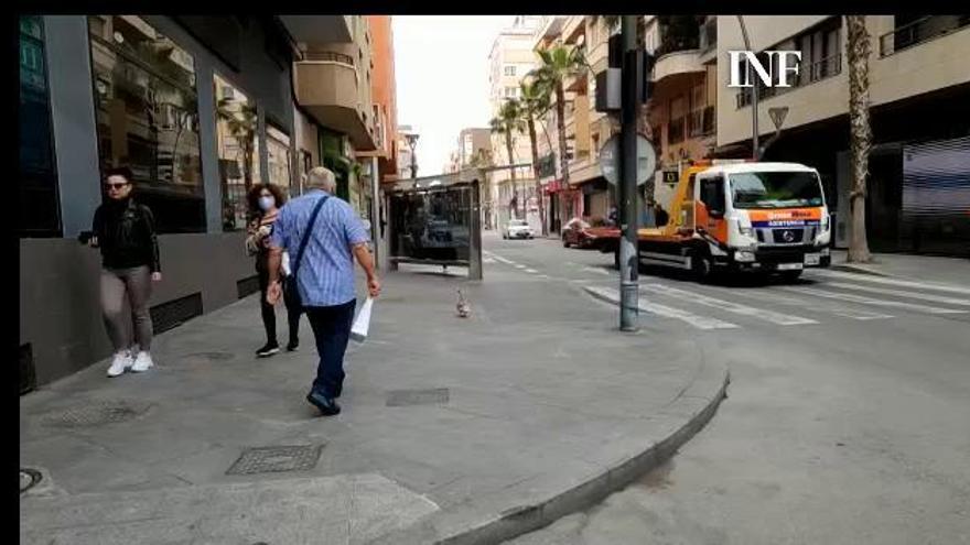 Operación "Pato rescate" en el centro de Torrevieja