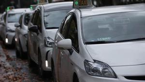 Hilera de taxis esperando.