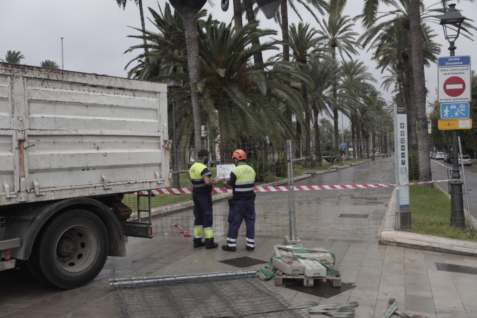 Cort vuelve a cerrar a peatones el paseo Sagrera y Dalt Murada por el viento