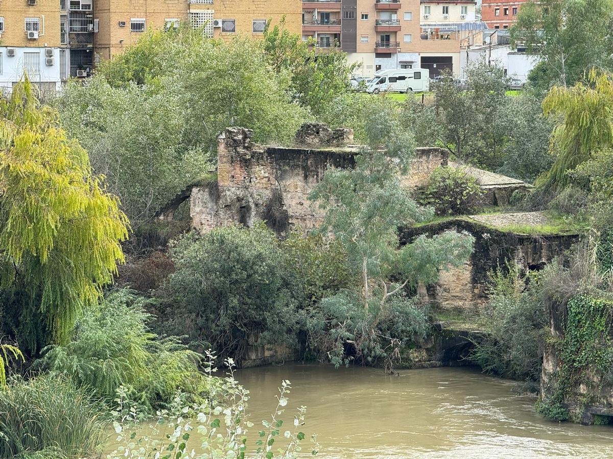 Molino de San Lorenzo.