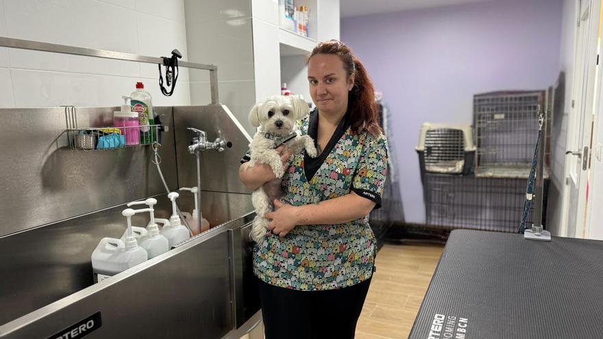 La peluquería canina consigue su reconocimiento oficial en Extremadura con la apertura del Certificado de Profesionalidad