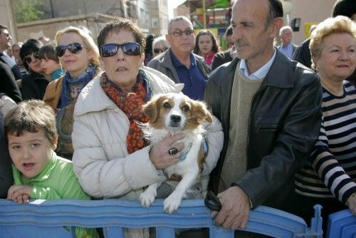 Las mascotas toman la plaza de San Antón de Cartagena