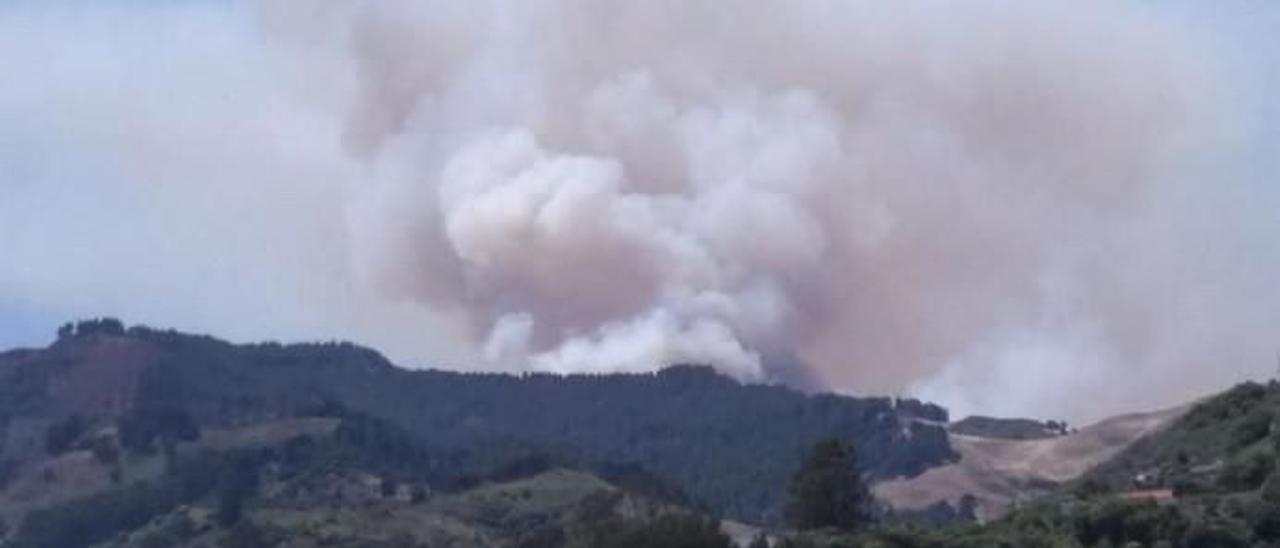 Incendio en la cumbre de Gran Canaria el 10 de agosto de 2019.