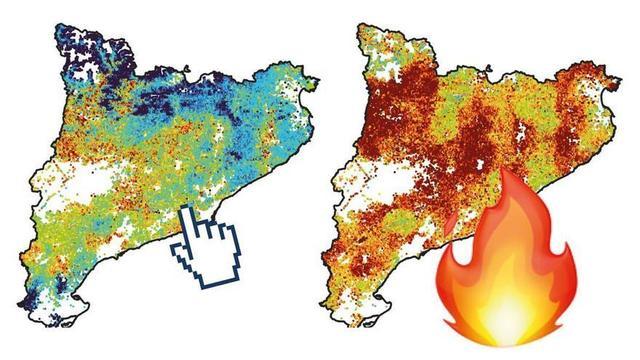 Mapa risc incendis