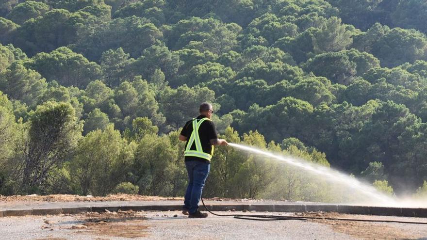 Un vecino refresca una zona forestal en la zona de Jarapalos, en Alhaurín de la Torre.