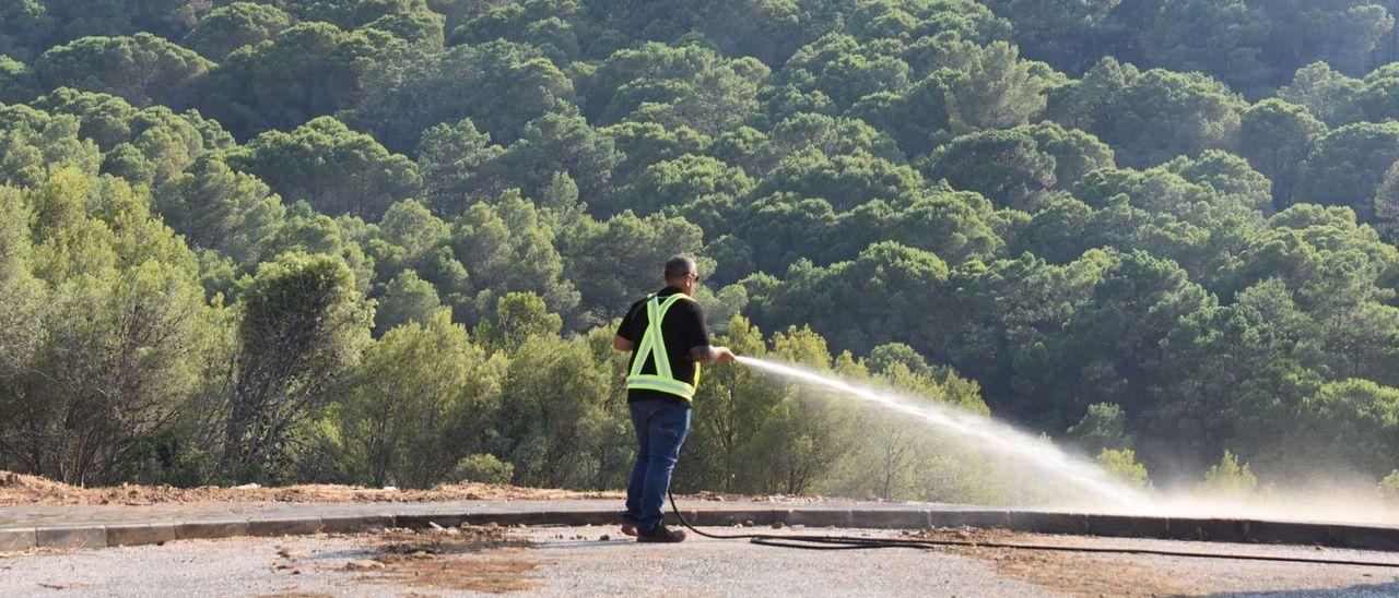 Un vecino refresca una zona forestal en la zona de Jarapalos, en Alhaurín de la Torre.