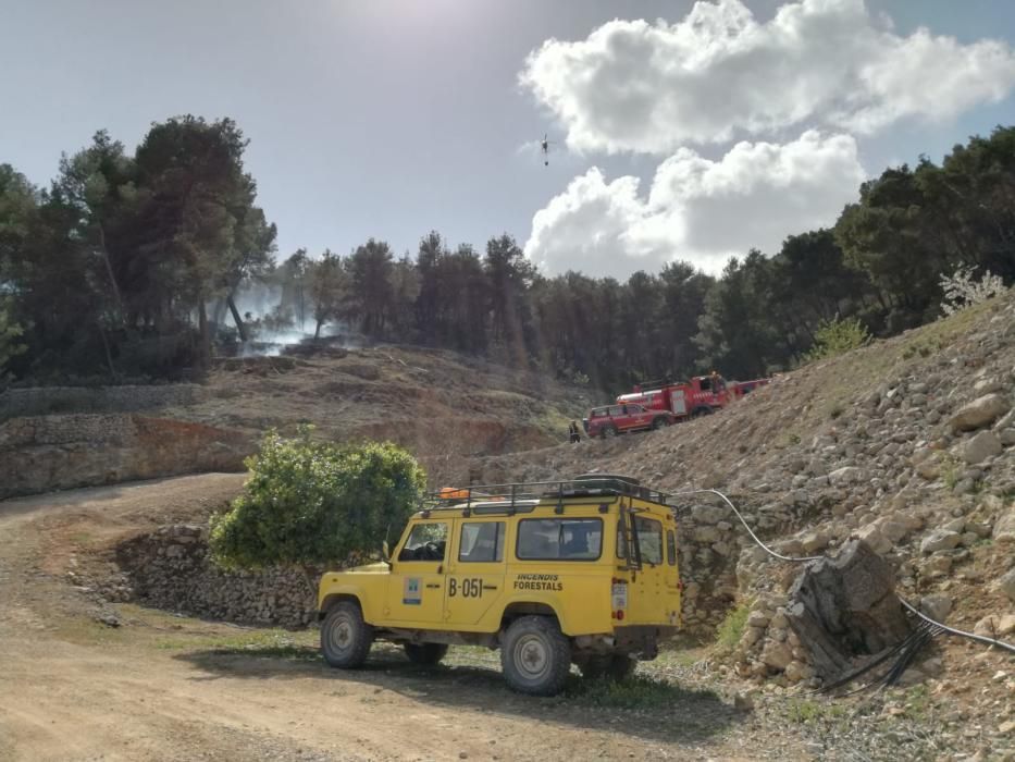 Incendio forestal en Sant Antoni