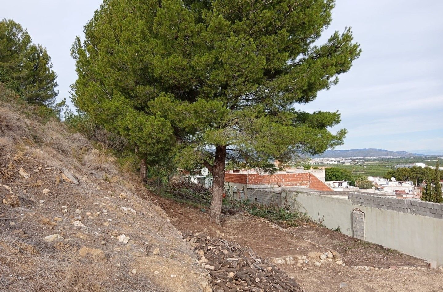 Una faja perimetral en Oliva.