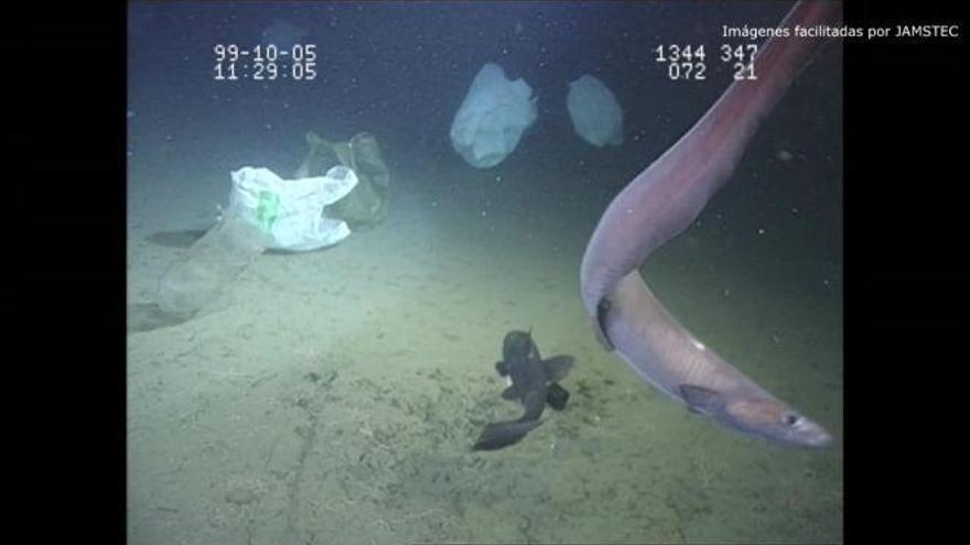 El vertedero submarino más profundo del mundo